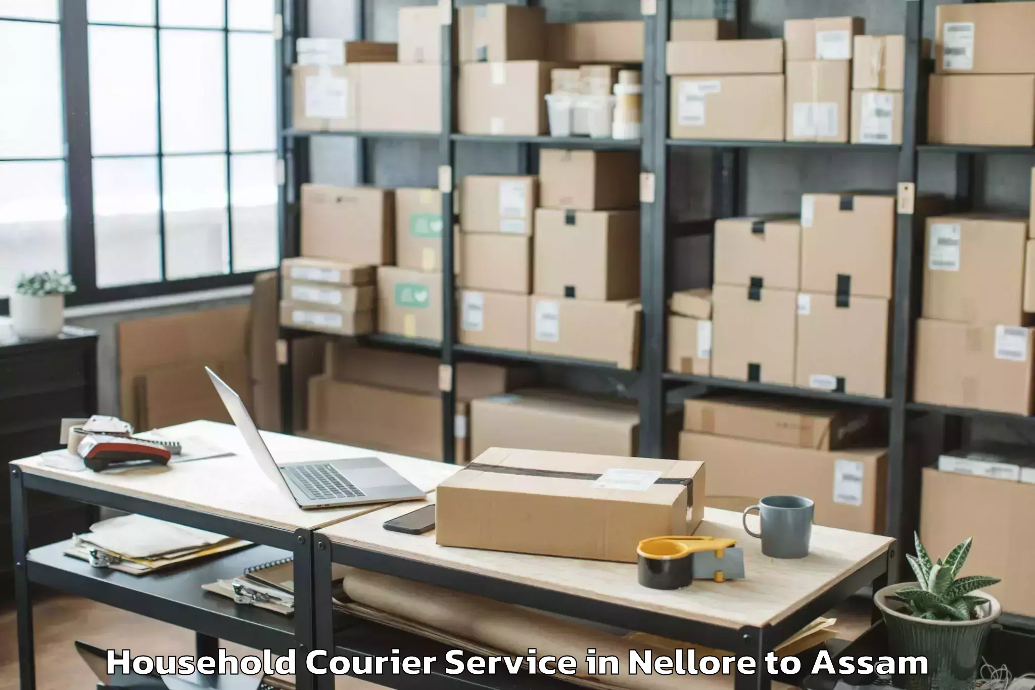 Affordable Nellore to Kaliabor Household Courier